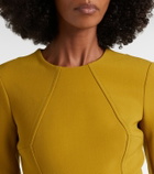 Emilia Wickstead Ucellina belted midi dress