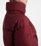 Cordova Cortina down ski jacket