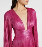 Maria Lucia Hohan Crystal caped silk gown