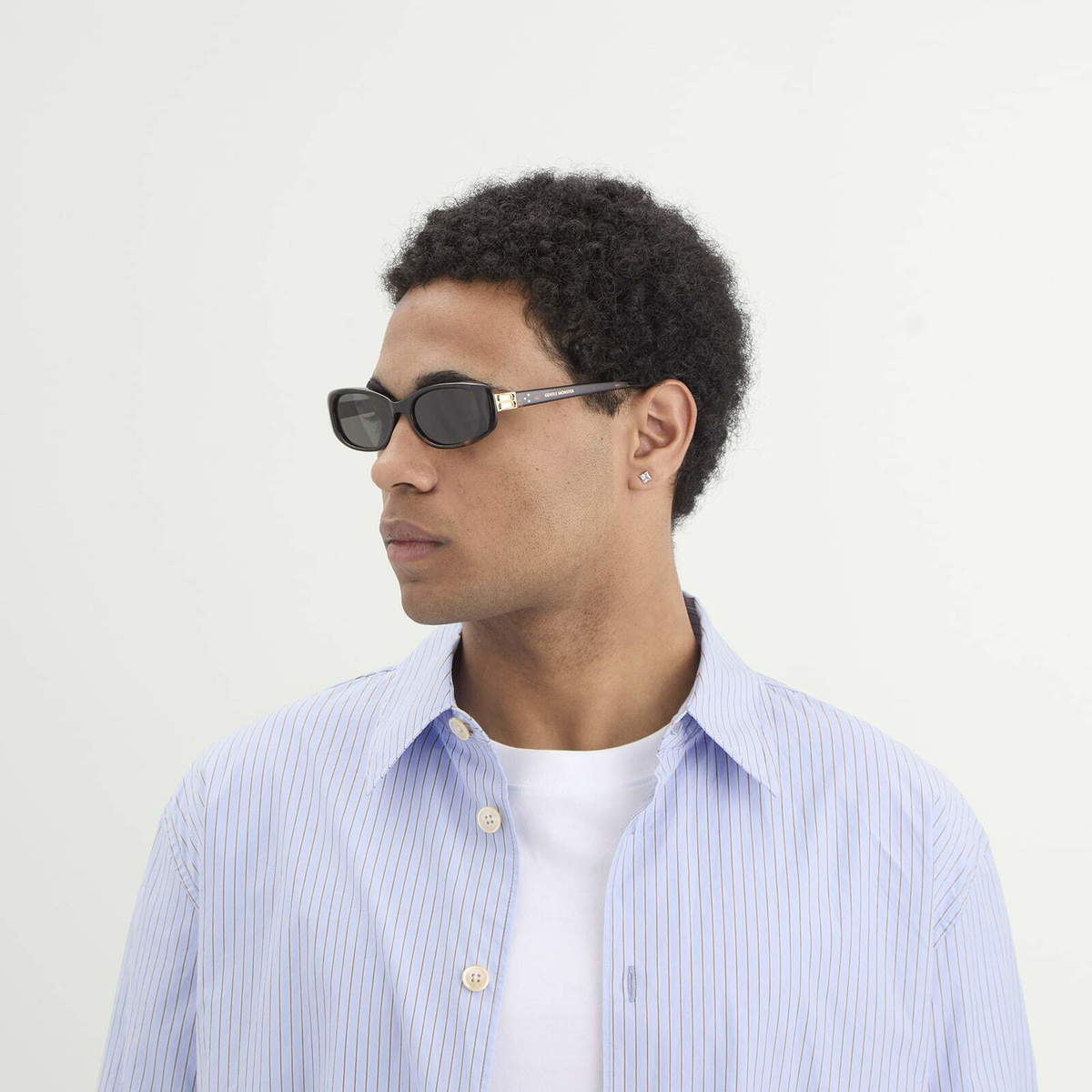 Gentle Monster Dust Musk Sunglasses in Tortoise/Black 