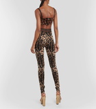 Dolce&Gabbana High-rise leopard-print leggings