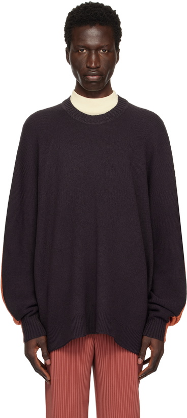 Photo: HOMME PLISSÉ ISSEY MIYAKE Brown Drawing Knit Sweater