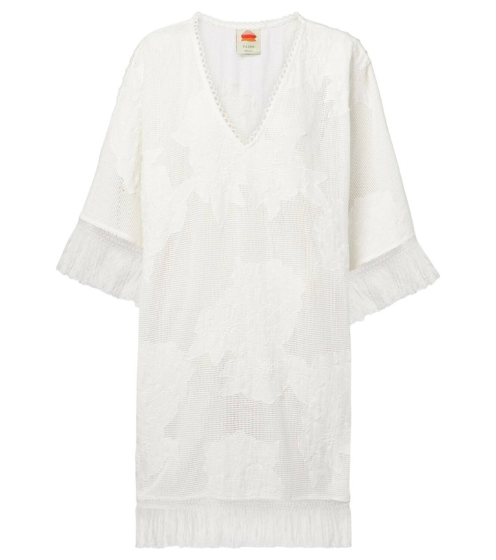 Photo: Farm Rio Embroidered cotton-blend minidress