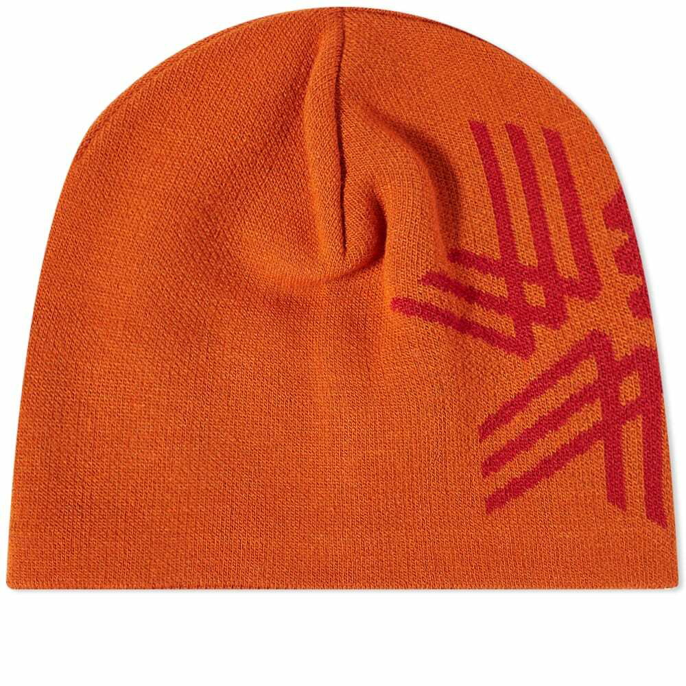 Big Logo beanie