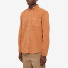 Portuguese Flannel Men's Lobo Button Down Corduroy Shirt in Brick