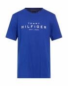 Tommy Hilfiger Mens T-shirt in Blue