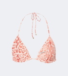 Roberto Cavalli Leopard-print triangle bikini top