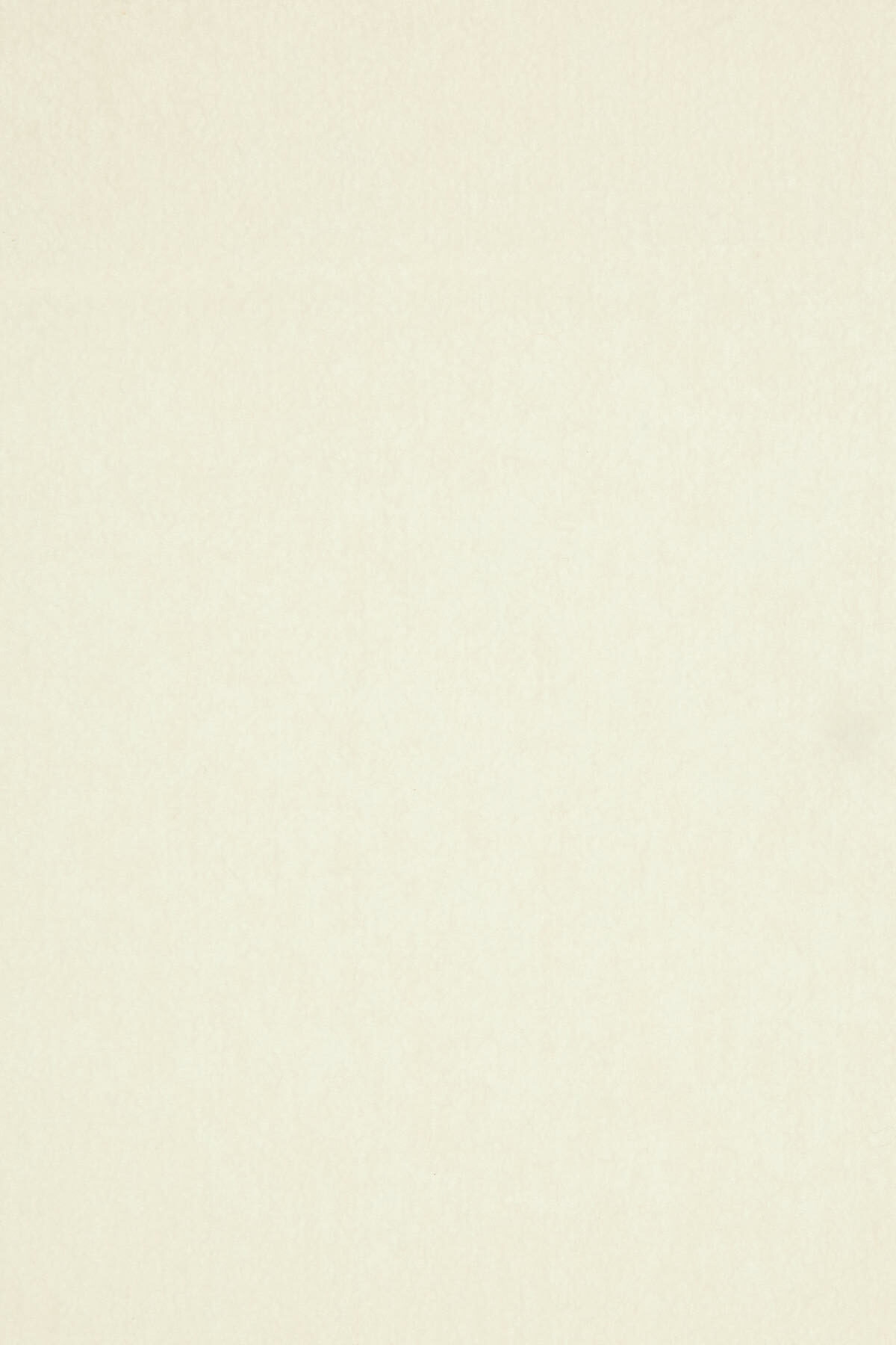 【送料&関税込】Max Mara curvone Ivory Wool Blend Scarf Max Mara Ivory Cashmere Scarf Max Mara