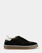Steve Madden Auburn Sneakers in Black