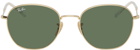 Ray-Ban Gold RB3809 Sunglasses