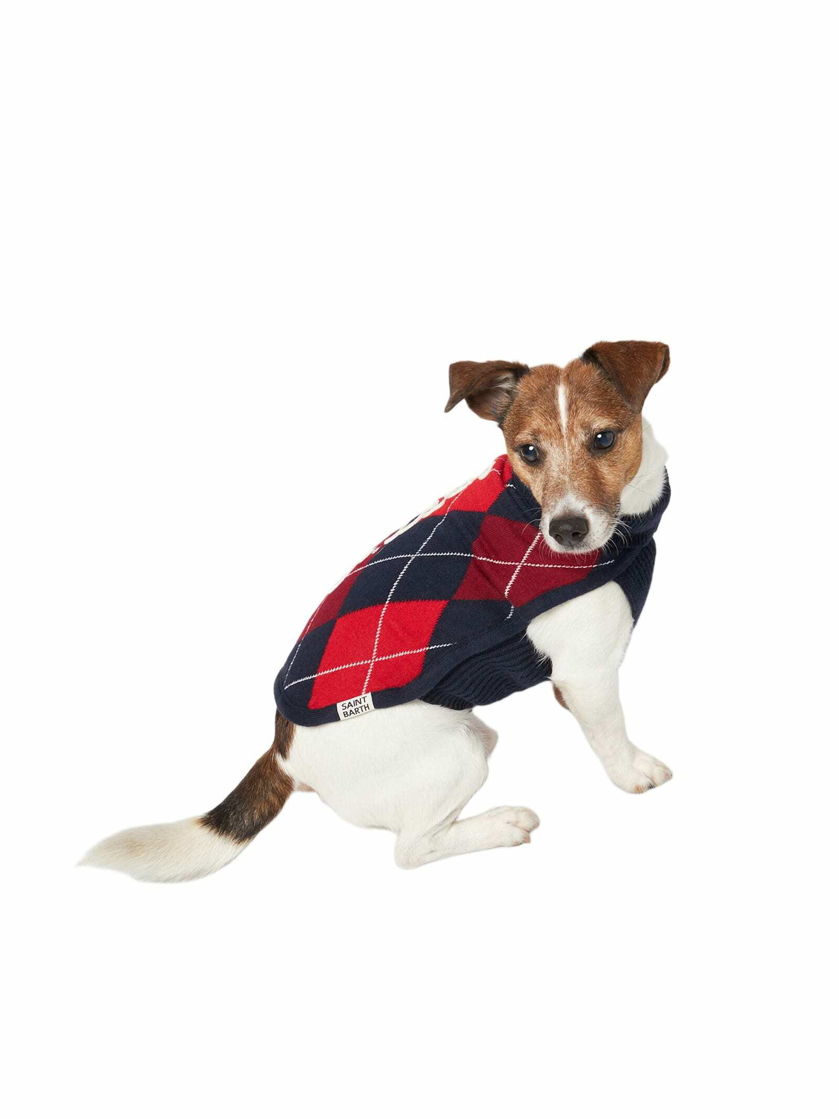 MC2 Saint Barth Dog Sweater With Argyle Print