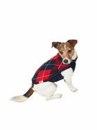 MC2 Saint Barth Dog Sweater With Argyle Print