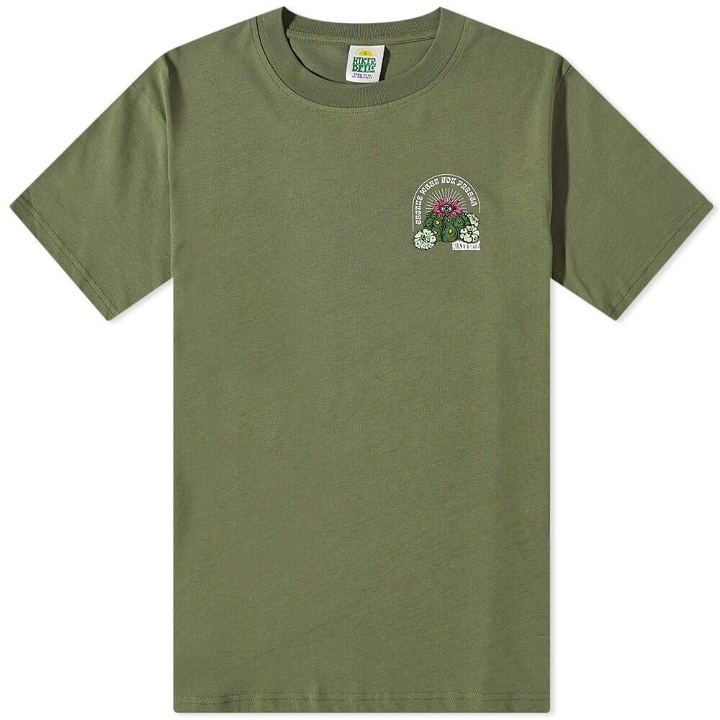 Photo: Hikerdelic Men's Cactus T-Shirt in Khaki