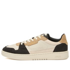 Axel Arigato Men's Dice Lo Sneaker in Beige/Black