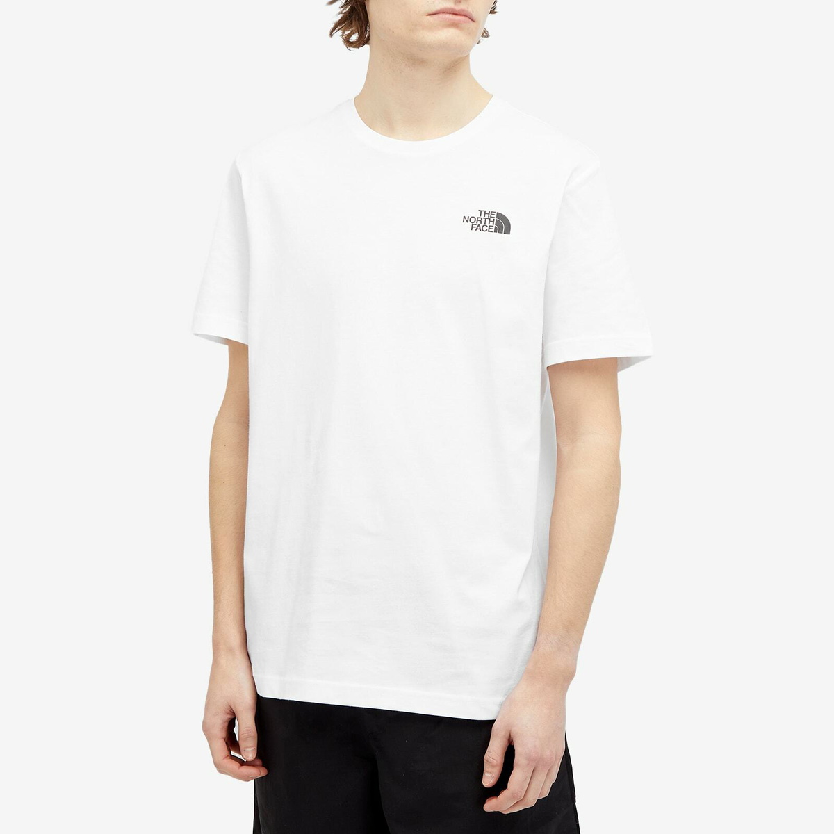 The North Face Men's Redbox Celebration T-Shirt in Tnf White
