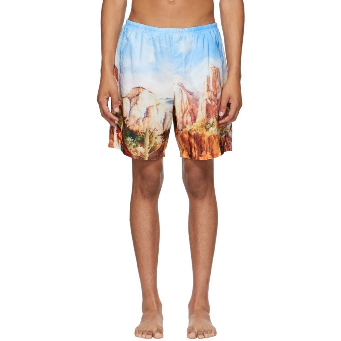 Photo: Palm Angels Multicolor Canyon Swim Shorts