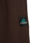Adidas EQT Sweat Pant in Aurora Coffee