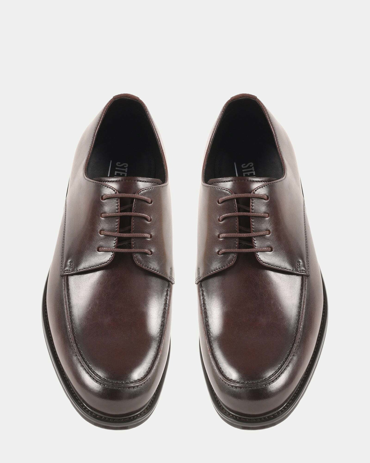 Steve Madden Pelicane Dress Shoes in Brown
