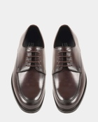 Steve Madden Pelicane Dress Shoes in Brown