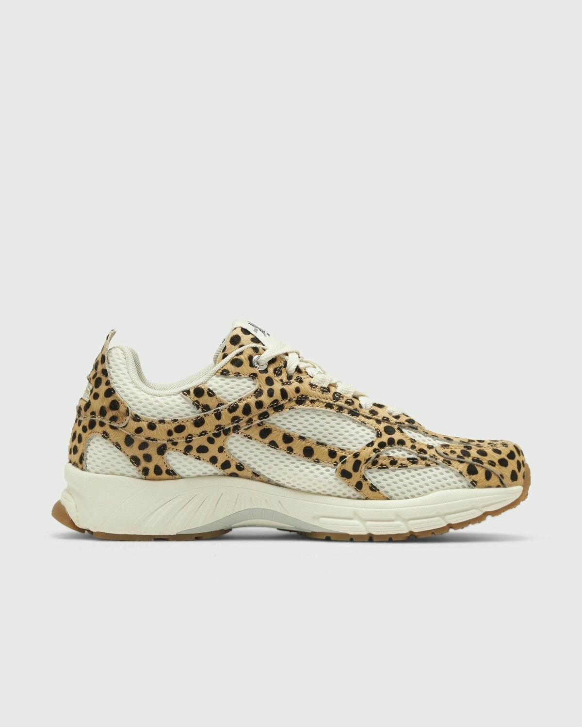 The Re-Run Spotted Leopard