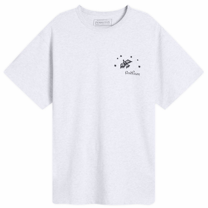 Photo: Pendleton Men's Star Bird T-Shirt in Heather Grey
