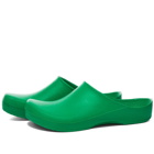 Birkenstock Men's Klassik Birki in Green