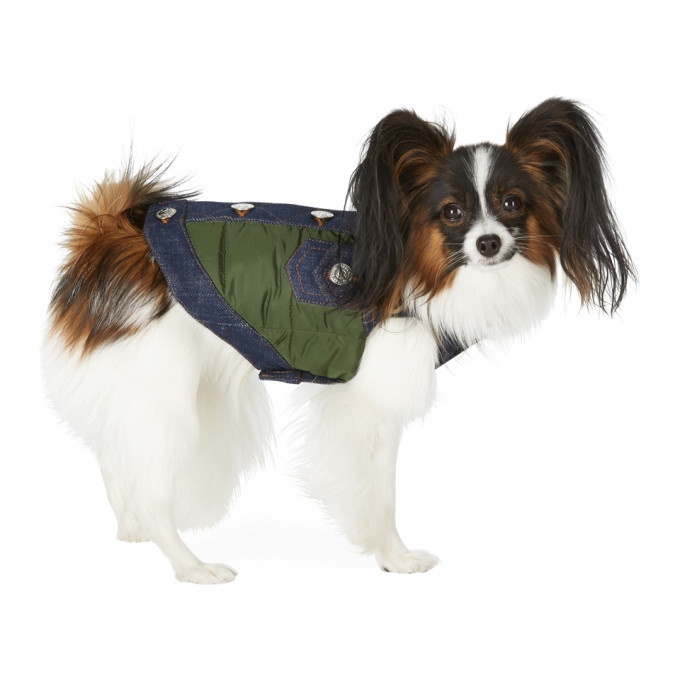 Photo: Dsquared2 Green Poldo Dog Couture Edition Small Vancouver Vest