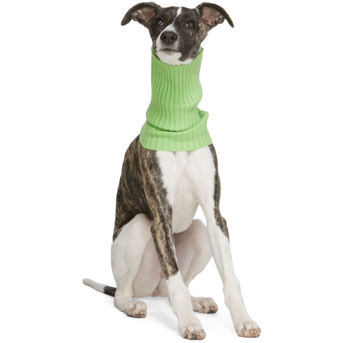 giu giu Green Nonna Turtleneck Dog Collar
