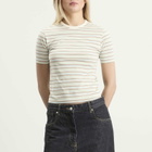 Auralee Women's Gradient Stripe T-Shirt in Fade Mint Stripe