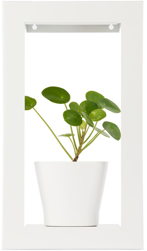 Photo: Modern Sprout White Portrait Growframe Planter