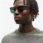 Ace & Tate Men's Alfred Large Sunglasses in Tigerwood