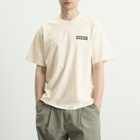 Dickies Men's Buchtell T-Shirt in Egret