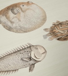 Fornasetti x Cole & Son Acquario printed wallpaper