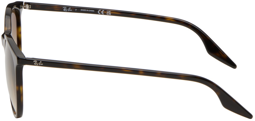 Ray Ban RB2204 サングラス(ブラウン) RB2204 Sunglasses in Striped Brown & Red and Pink/Black