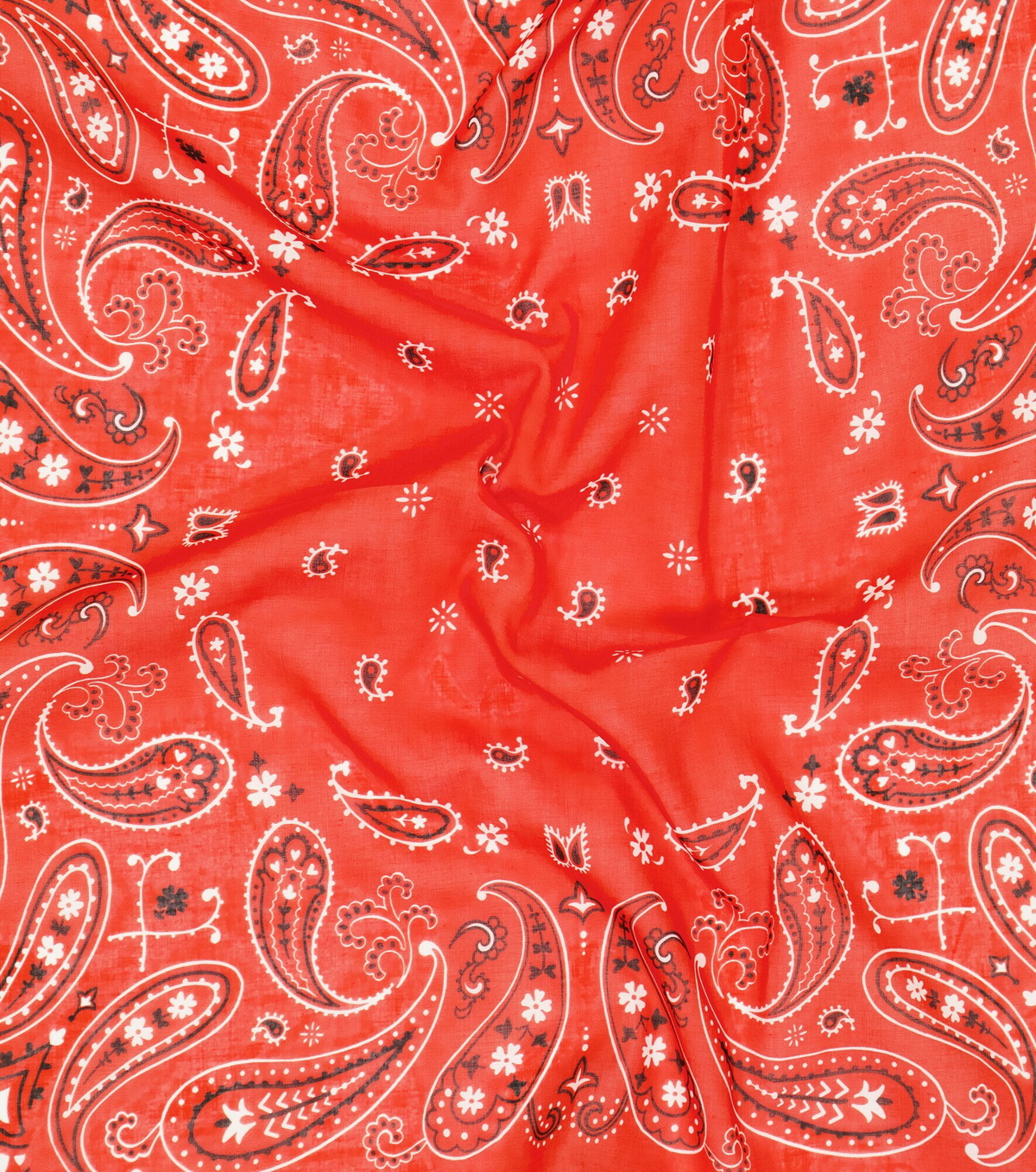 Alanui - Paisley cotton scarf