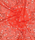 Alanui - Paisley cotton scarf