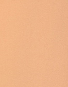 Manila Grace Womens Pants Camel
