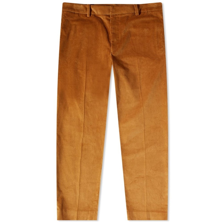 Photo: Moncler Men's Cord Pant in Brown