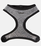 Miu Miu Embellished dog harness