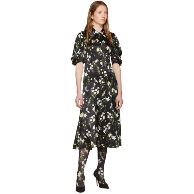 Erdem 2025 gisella dress