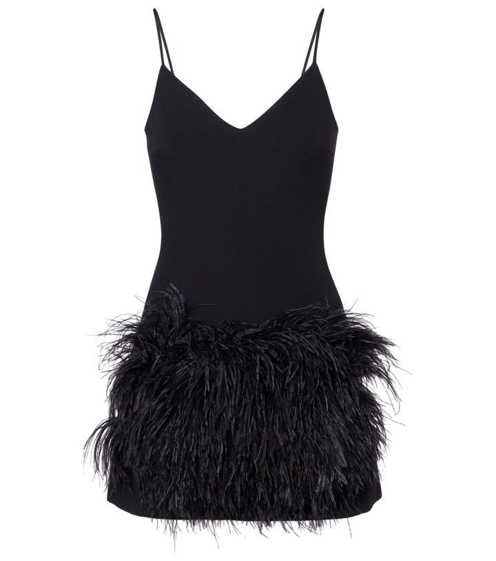 Photo: David Koma Feather-trimmed minidress