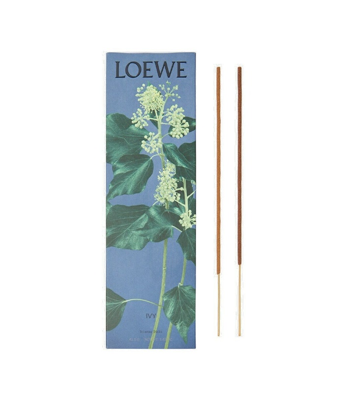 Photo: Loewe Home Scents Ivy incense refill sticks