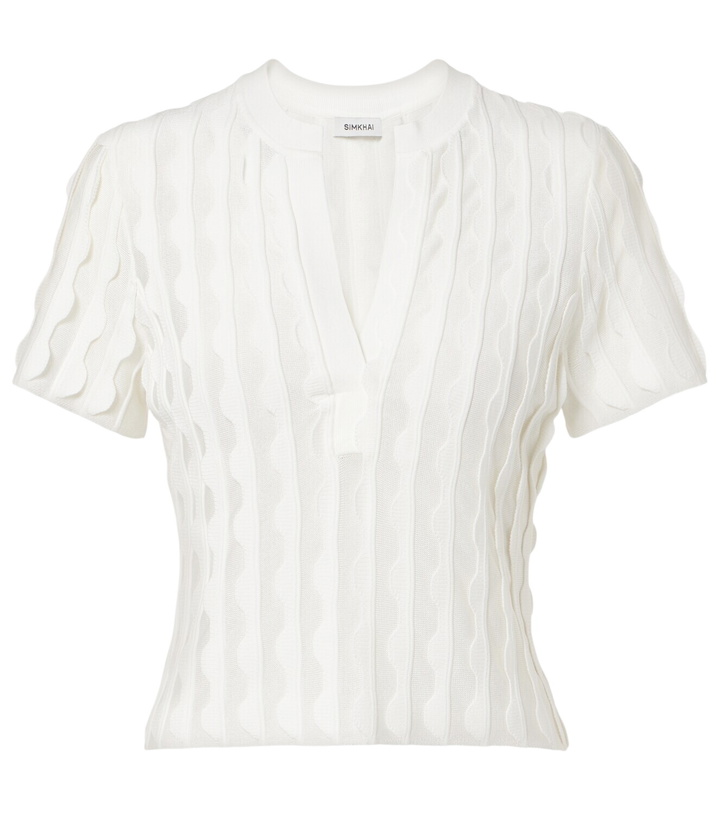 Photo: Simkhai Knitted top