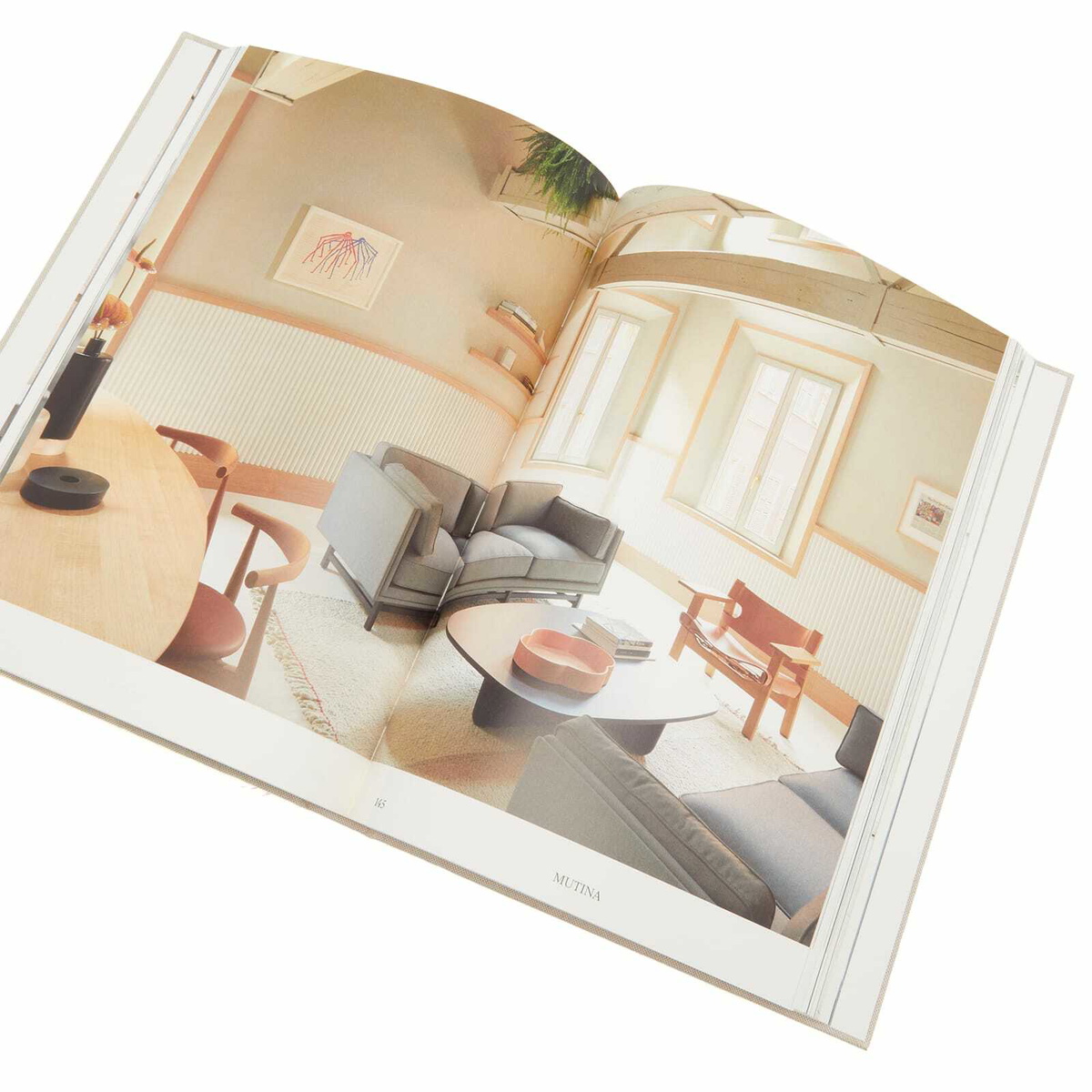 Rizzoli OEO Studio: Compelling Minimalism in Catherine Shaw Rizzoli