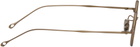 RIGARDS Bronze RG01018TI Sunglasses