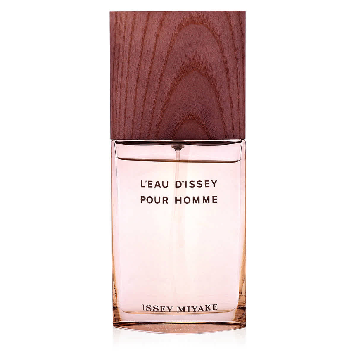Issey Miyake Mens L'Eau D'Issey Pour Homme Vetiver EDT Spray 3.4 oz Fragrances 3423222090722
