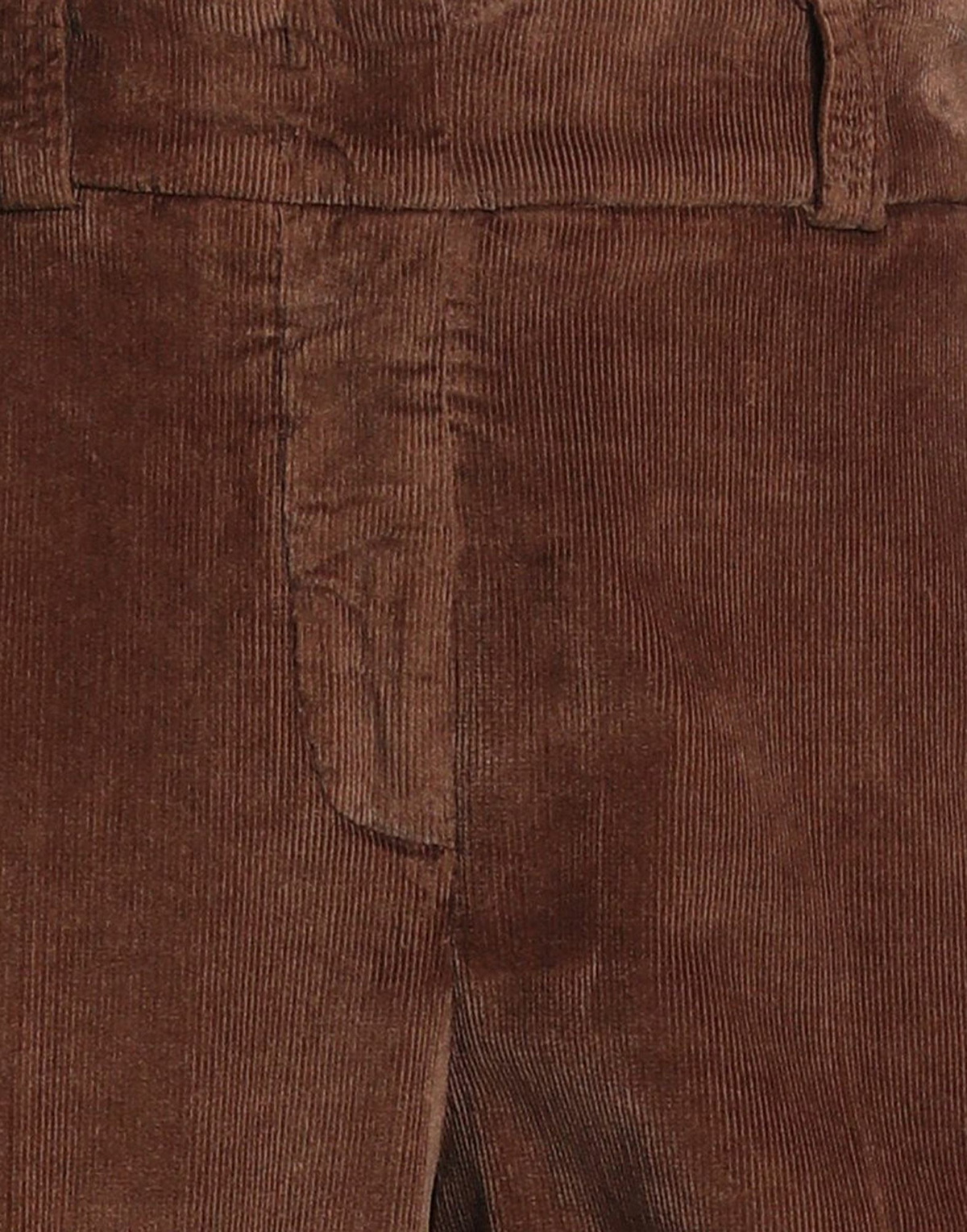 Peserico Womens Pants in Brown