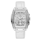 JBW Echelon Chronograph Quartz Silver Dial Unisex Watch J6379G