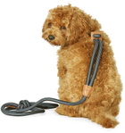 Boo Oh Grey Medium Ray Harness