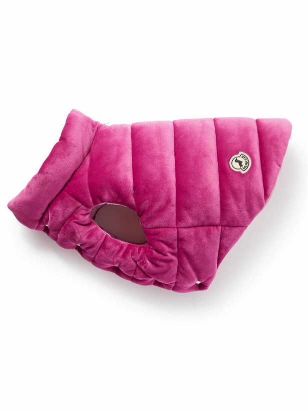 Photo: Moncler Genius - Poldo Dog Couture Logo-Appliquéd Quilted Padded Velour Dog Gilet - Pink